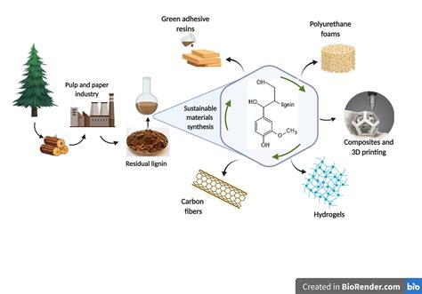  Lignin Kullanımında Yeni Fırsatlar: Sürdürülebilir Kimyasalların Çağında Doğal Bir Ünlem!